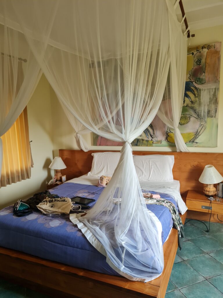 a blue bed with mosquito nets: my first homestay room as a digital nomad in Ubud